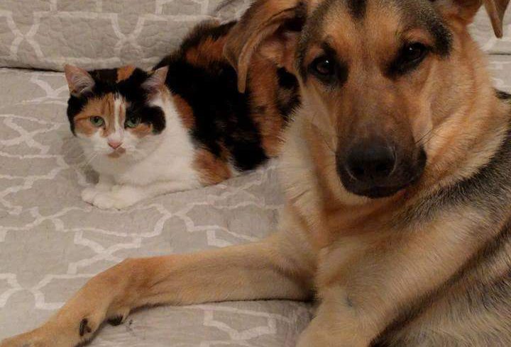 Hutch and Roxy