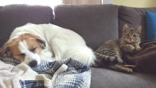 Mingo & Valencia